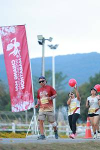 BIB: 
                            <button type="button" onclick="openModal(27853194)" class="btn btn-primary btn-sm float-right btn-popup" data-toggle="modal" data-target=".modal-high-quality">
                        <i class="fas fa-shopping-cart"></i> Add to Cart
                    </button>
                                            <button type="button" onclick="isThisMe(27853194, true)" class="btn btn-success btn-sm float-right btn-popup btn-isme hidden" data-toggle="tooltip" data-placement="bottom" title="นี่คือรูปของคุณใช่ไหม คลิกที่นี่เพื่อเอาเข้าอัลบั้ม">
                        <i class="fas fa-plus"></i> Add to album
                    </button>
                    <button type="button" onclick="isThisMe(27853194, false)" class="btn btn-warning btn-sm float-right btn-popup btn-isnotme hidden">
                        <i class="fas fa-ban"></i> Remove from album
                    </button>